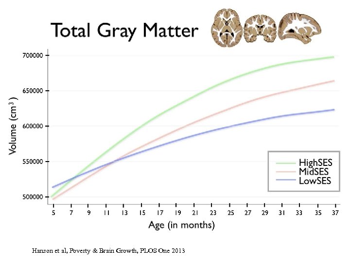 Hanson et al, Poverty & Brain Growth, PLOS One 2013 