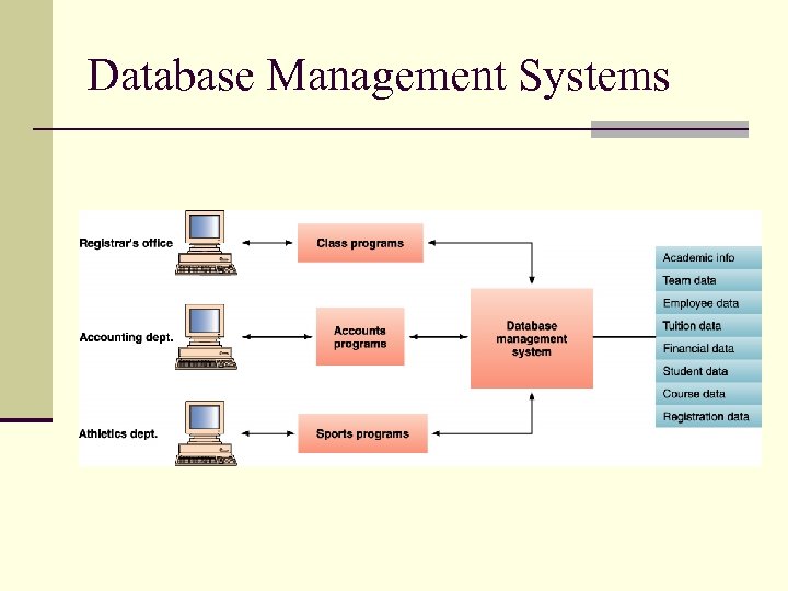Database Management Systems 