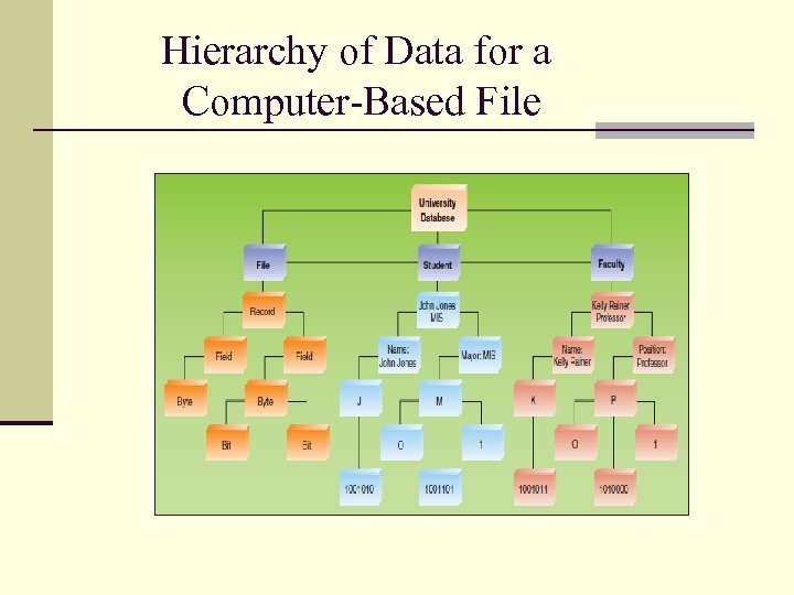 Hierarchy of Data for a Computer-Based File 