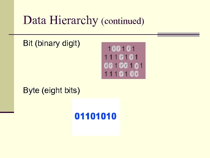 Data Hierarchy (continued) Bit (binary digit) Byte (eight bits) 