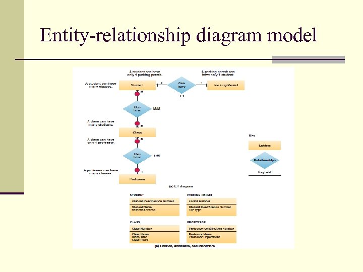 Entity-relationship diagram model 