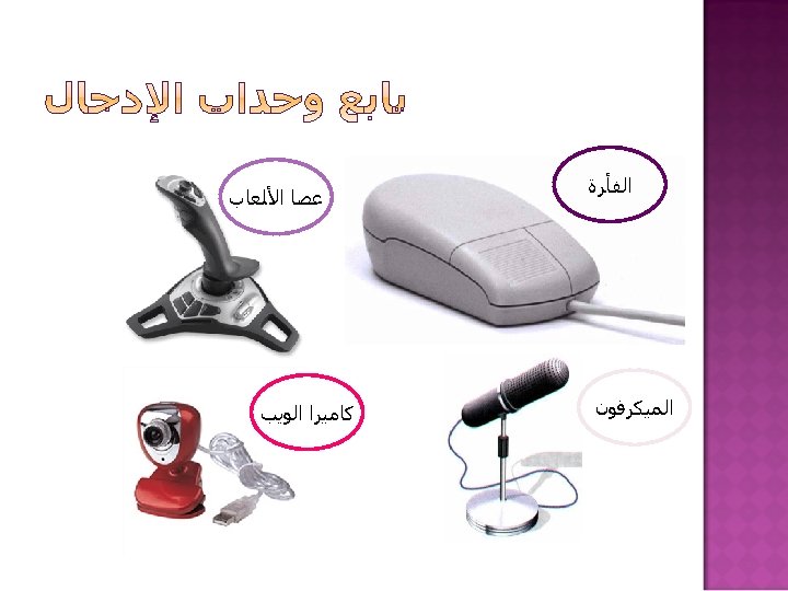  ﺍﻟﻔﺄﺮﺓ ﺍﻟﻤﻴﻜﺮﻓﻮﻥ ﻋﺼﺎ ﺍﻷﻠﻌﺎﺏ ﻛﺎﻣﻴﺮﺍ ﺍﻟﻮﻳﺐ 