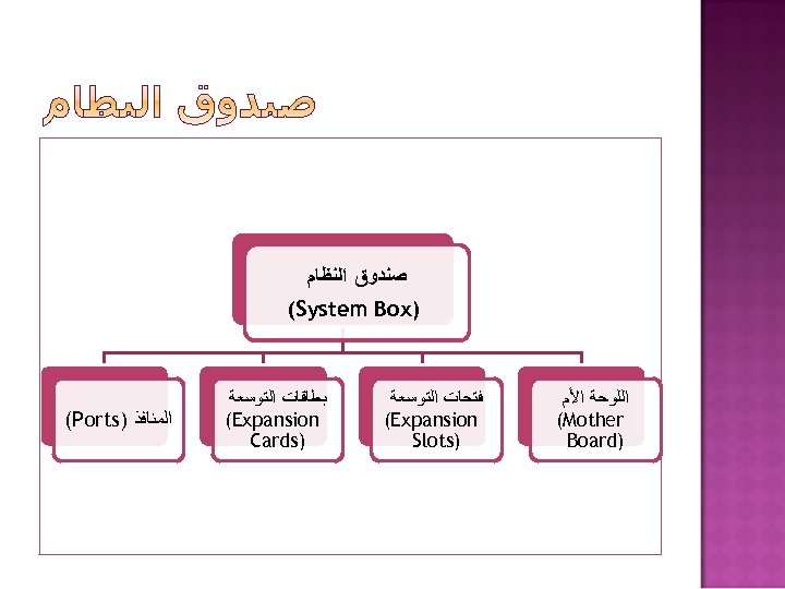 ﺻﻨﺪﻭﻕ ﺍﻟﻨﻈﺎﻡ (System Box) (Ports) ﺍﻟﻤﻨﺎﻓﺬ ﺑﻄﺎﻗﺎﺕ ﺍﻟﺘﻮﺳﻌﺔ (Expansion Cards) ﻓﺘﺤﺎﺕ ﺍﻟﺘﻮﺳﻌﺔ (Expansion