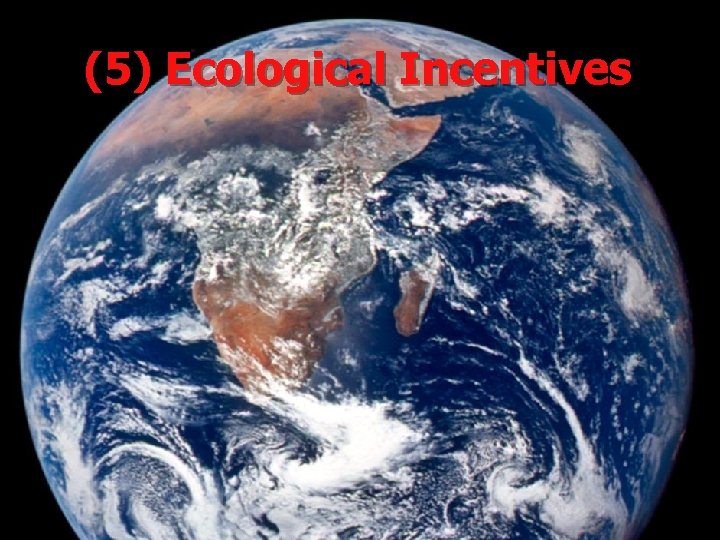 (5) Ecological Incentives 