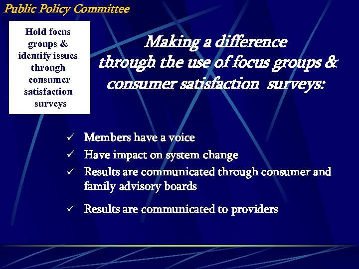 Public Policy Committee Hold focus groups & identify issues through consumer satisfaction surveys Making