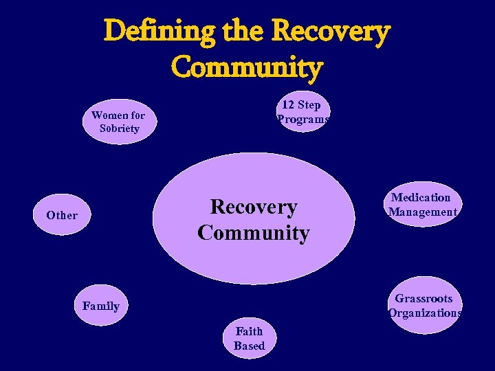 Defining the Recovery Community 12 Step Programs Women for Sobriety Recovery Community Other Medication