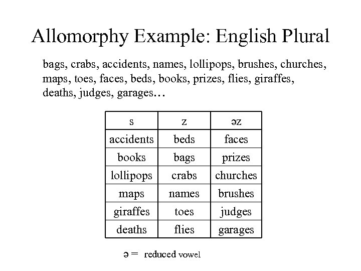 Allomorphy Example: English Plural bags, crabs, accidents, names, lollipops, brushes, churches, maps, toes, faces,