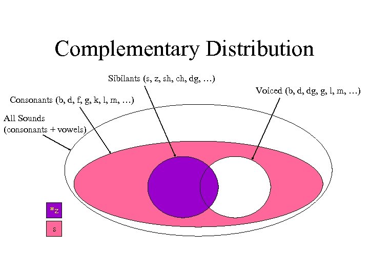 Complementary Distribution Sibilants (s, z, sh, ch, dg, …) Consonants (b, d, f, g,