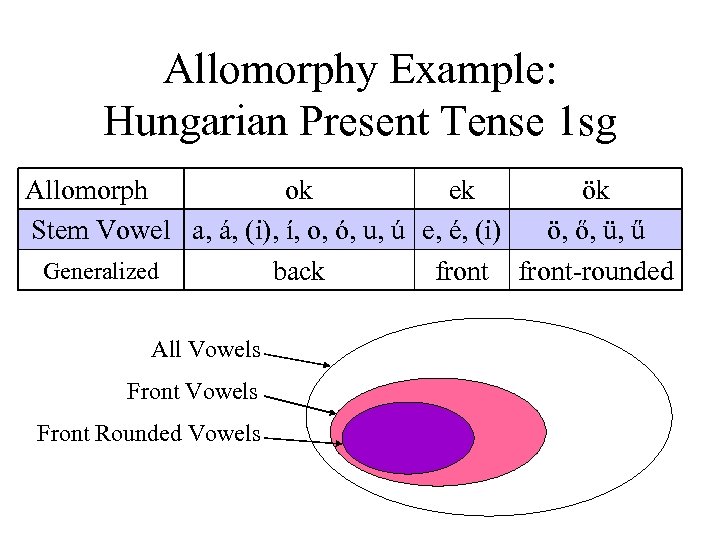 Allomorphy Example: Hungarian Present Tense 1 sg Allomorph ok ek ök Stem Vowel a,
