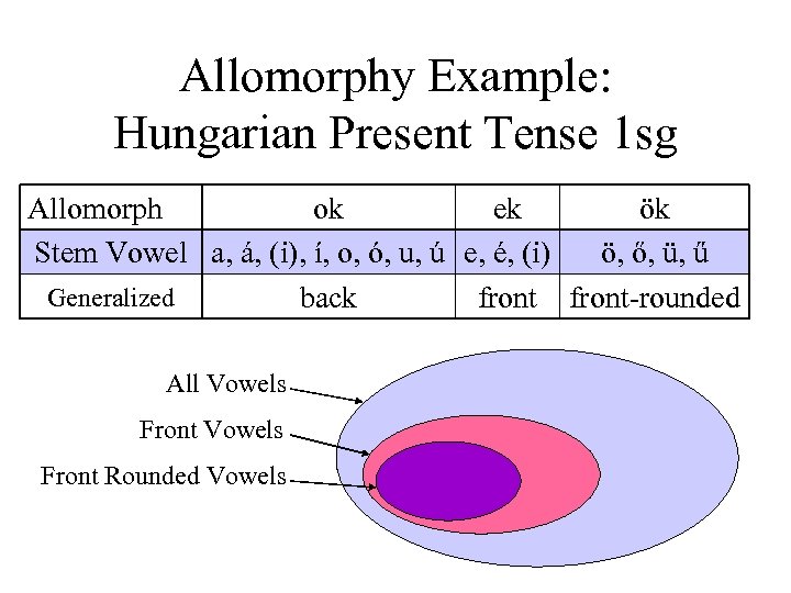 Allomorphy Example: Hungarian Present Tense 1 sg Allomorph ok ek ök Stem Vowel a,