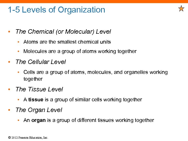 1 -5 Levels of Organization • The Chemical (or Molecular) Level • Atoms are