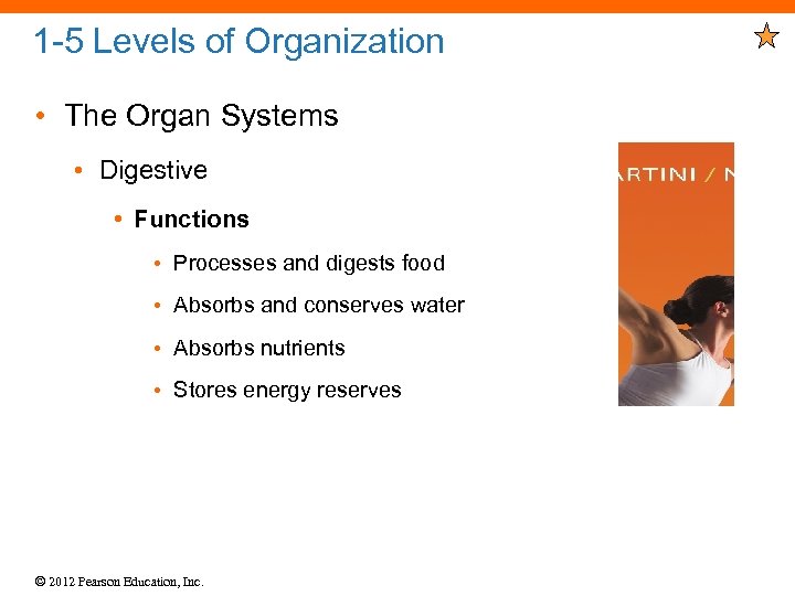 1 -5 Levels of Organization • The Organ Systems • Digestive • Functions •