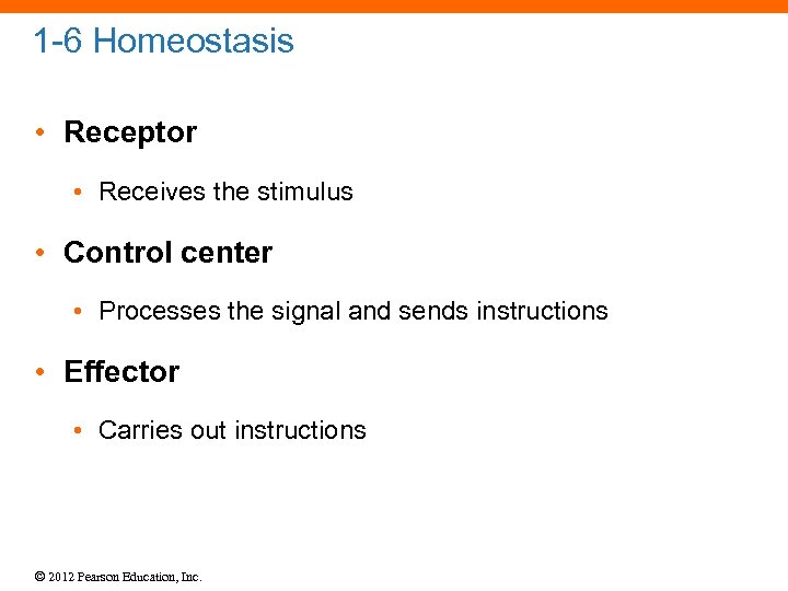 1 -6 Homeostasis • Receptor • Receives the stimulus • Control center • Processes