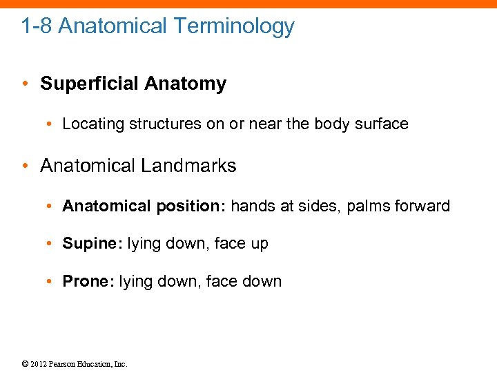 1 -8 Anatomical Terminology • Superficial Anatomy • Locating structures on or near the