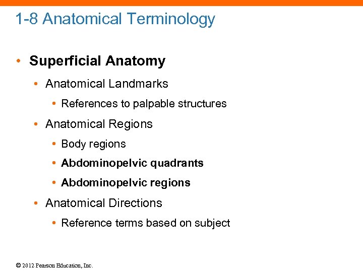 1 -8 Anatomical Terminology • Superficial Anatomy • Anatomical Landmarks • References to palpable