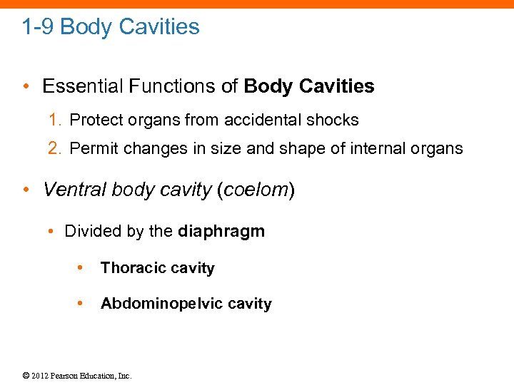 1 -9 Body Cavities • Essential Functions of Body Cavities 1. Protect organs from