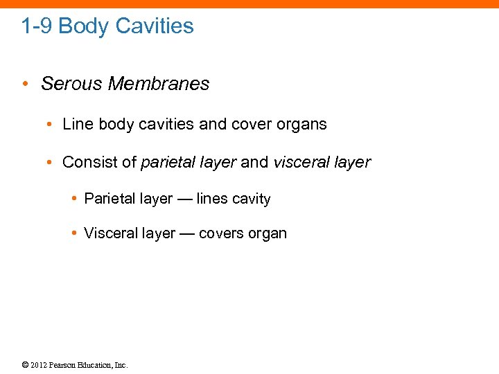 1 -9 Body Cavities • Serous Membranes • Line body cavities and cover organs