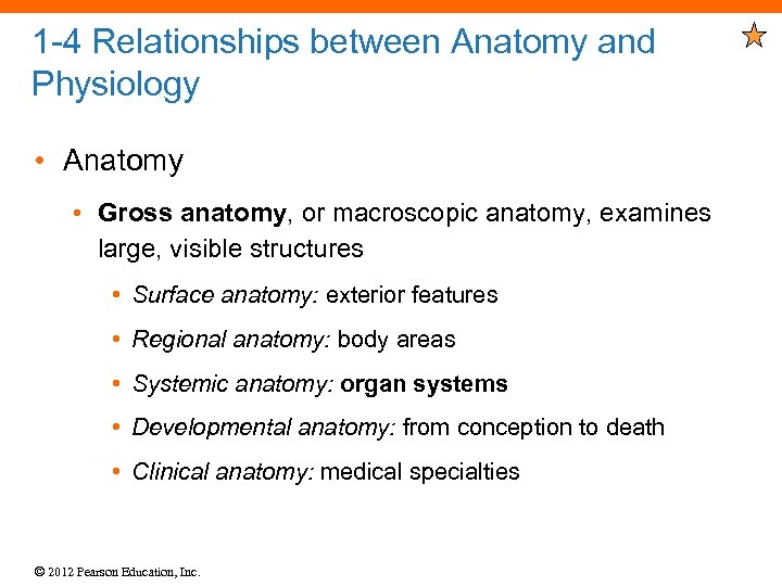 1 -4 Relationships between Anatomy and Physiology • Anatomy • Gross anatomy, or macroscopic