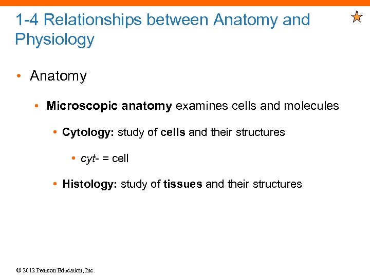 1 -4 Relationships between Anatomy and Physiology • Anatomy • Microscopic anatomy examines cells