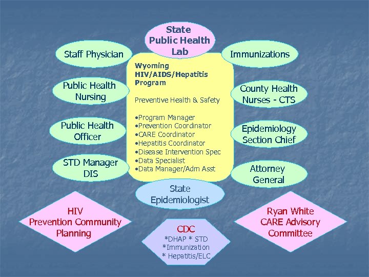 Staff Physician Public Health Nursing Public Health Officer STD Manager DIS HIV Prevention Community