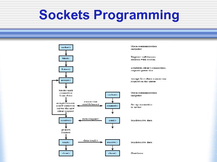 Sockets Programming 
