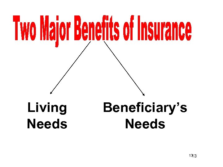 Living Needs Beneficiary’s Needs 13 13 