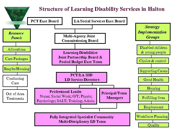 Structure of Learning Disability Services in Halton PCT Exec Board Resource Panels Allocations Care