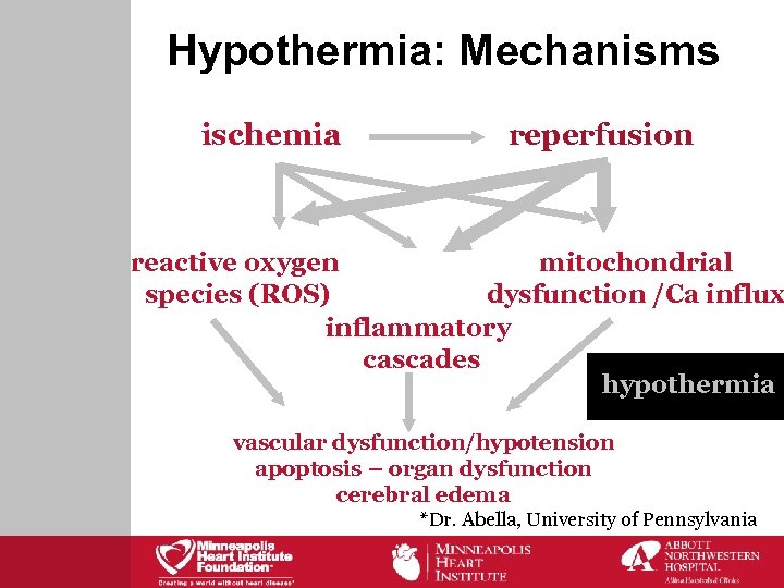 Hypothermia: Mechanisms ischemia reperfusion reactive oxygen mitochondrial species (ROS) dysfunction /Ca influx inflammatory cascades
