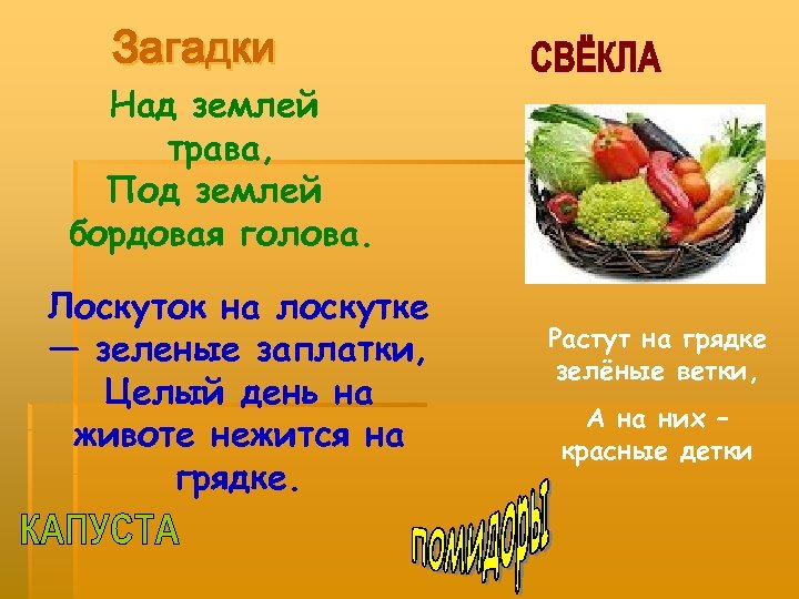 Загадки Над землей трава, Под землей бордовая голова. Лоскуток на лоскутке — зеленые заплатки,