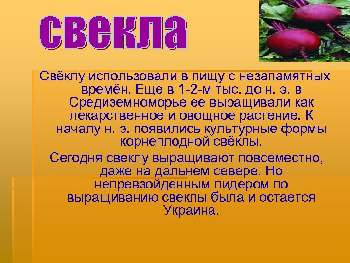 Свёклу использовали в пищу с незапамятных времён. Еще в 1 -2 -м тыс. до
