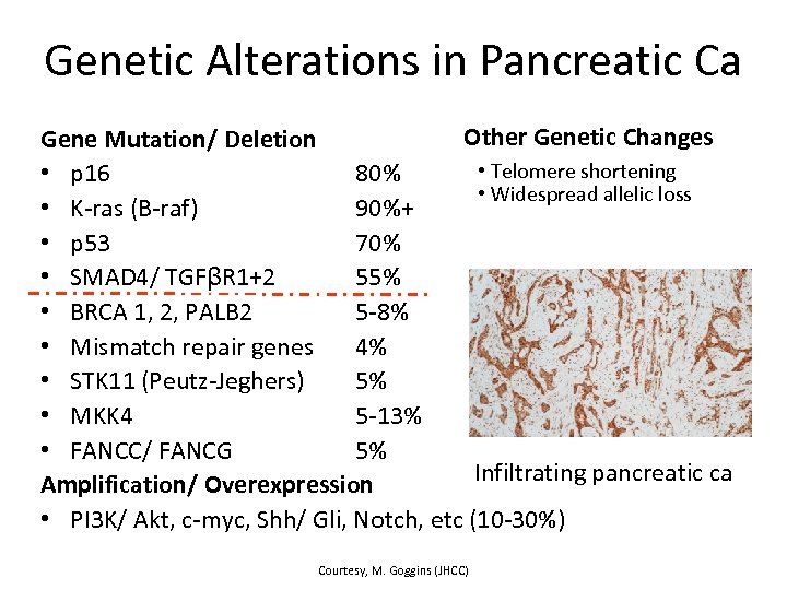 Genetic Alterations in Pancreatic Ca Other Genetic Changes Gene Mutation/ Deletion • Telomere shortening