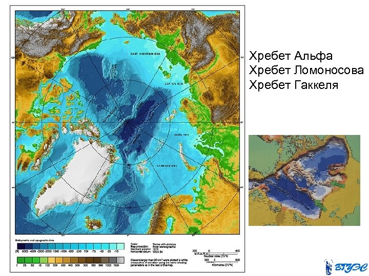 Хребет Альфа Хребет Ломоносова Хребет Гаккеля 