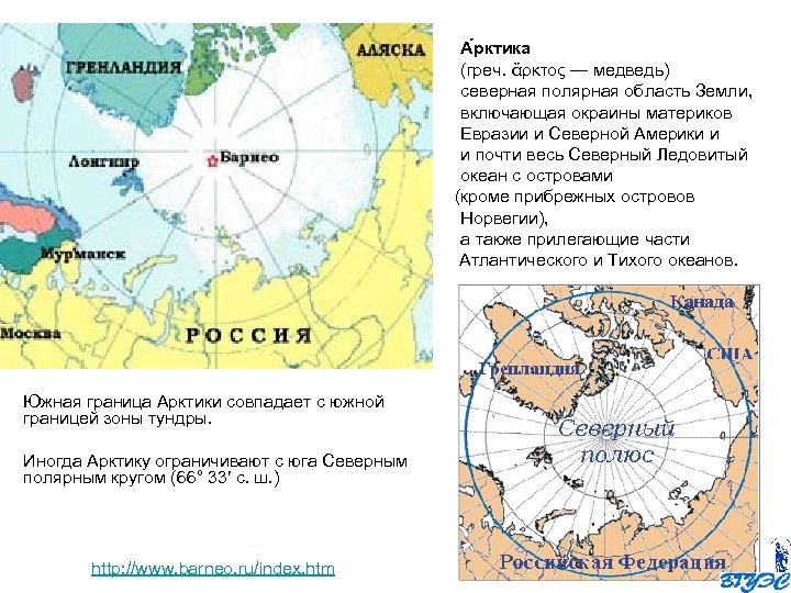 А рктика (греч. ἄρκτος — медведь) северная полярная область Земли, включающая окраины материков Евразии