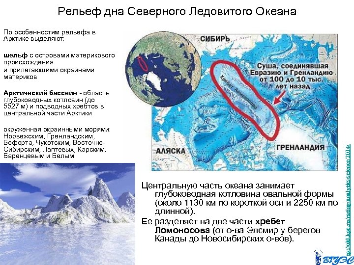 Рельеф дна Северного Ледовитого Океана По особенностям рельефа в Арктике выделяют: шельф с островами