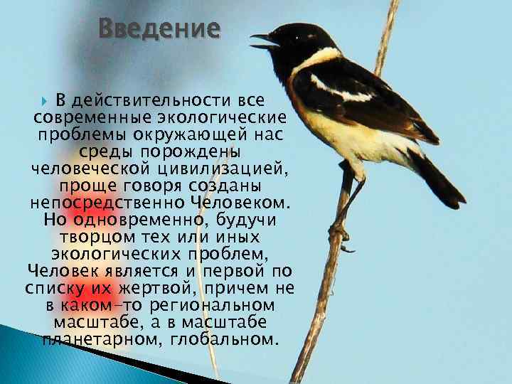 Введение В действительности все современные экологические проблемы окружающей нас среды порождены человеческой цивилизацией, проще