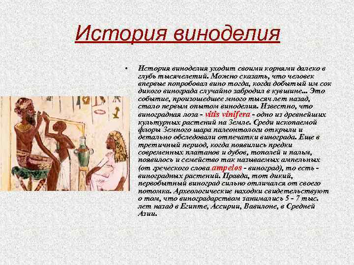 История виноделия • История виноделия уходит своими корнями далеко в глубь тысячелетий. Можно сказать,