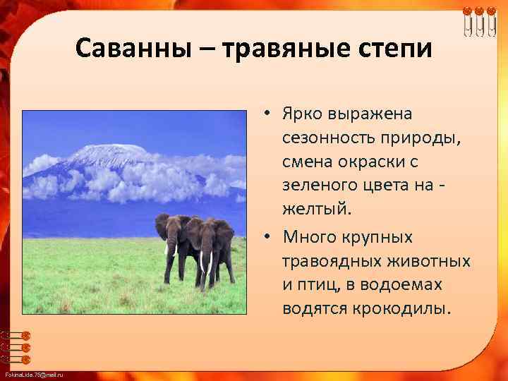 Саванны – травяные степи • Ярко выражена сезонность природы, смена окраски с зеленого цвета