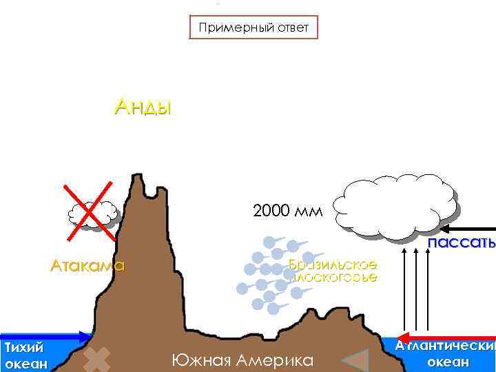 Примерный ответ Анды 2000 мм пассаты Атакама Тихий океан Бразильское плоскогорье Южная Америка Атлантический