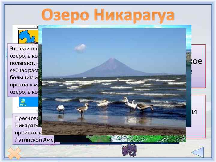 Озеро Никарагуа Это единственное в мире пресноводное озеро, в котором водятся акулы. Ученые полагают,