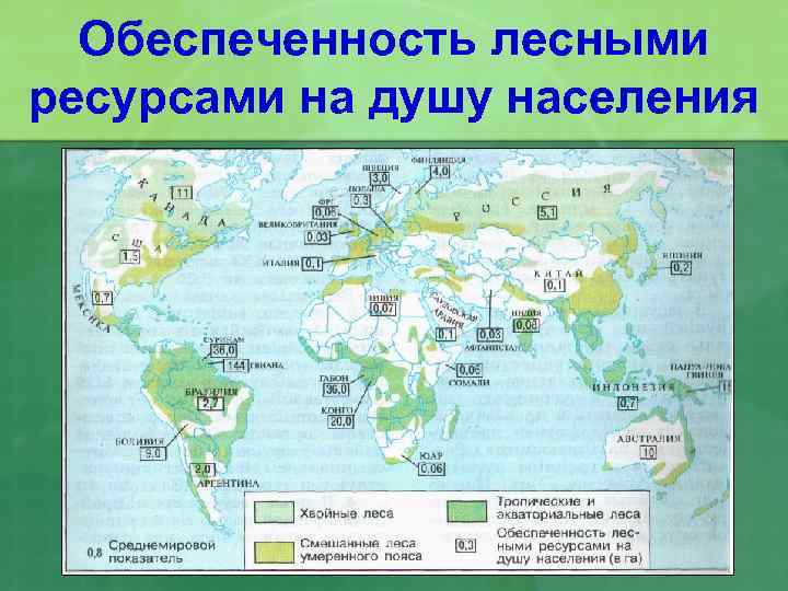 Обеспеченность лесными ресурсами на душу населения 