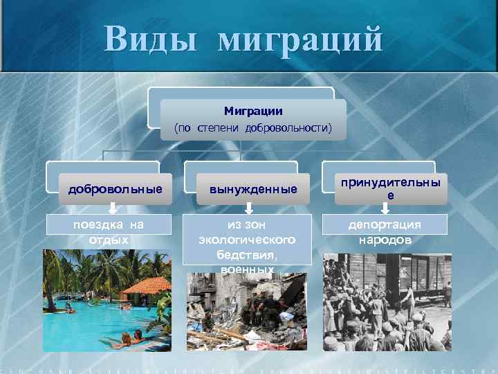 Виды миграций Миграции (по степени добровольности) добровольные поездка на отдых вынужденные из зон экологического