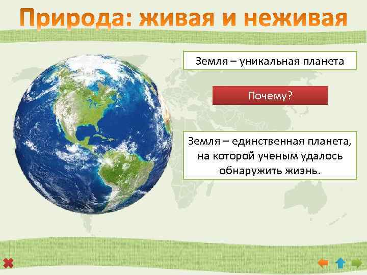 Земля – уникальная планета Почему? Земля – единственная планета, на которой ученым удалось обнаружить