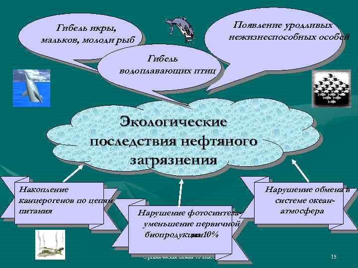 Появление уродливых нежизнеспособных особей Гибель икры, мальков, молоди рыб Гибель водоплавающих птиц Экологические последствия