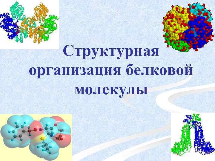 Структурная организация белковой молекулы 