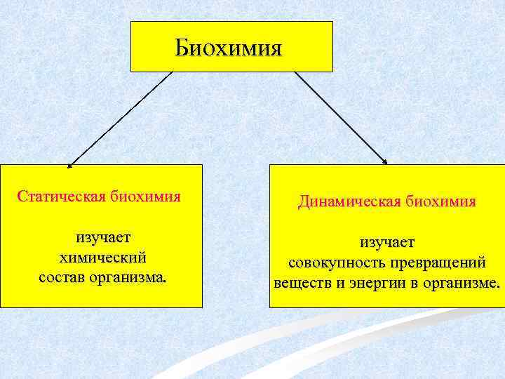 Биохимия Статическая биохимия Динамическая биохимия изучает химический состав организма. изучает совокупность превращений веществ и