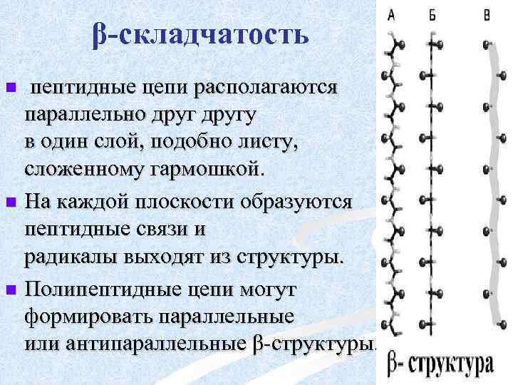 β-складчатость пептидные цепи располагаются параллельно другу в один слой, подобно листу, сложенному гармошкой. n