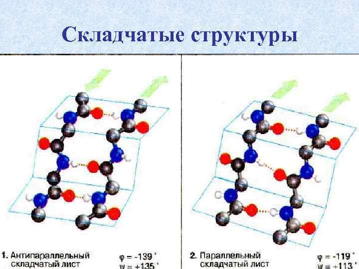 Складчатые структуры 