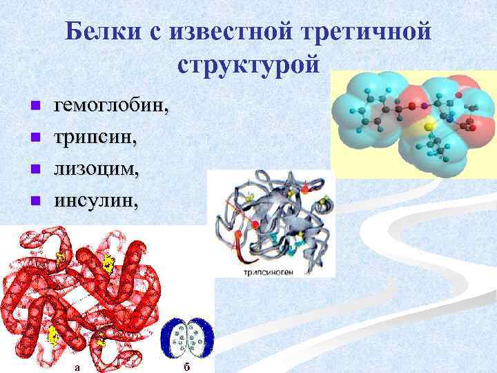 Белки с известной третичной структурой n n n гемоглобин, трипсин, лизоцим, инсулин, цитохром. 