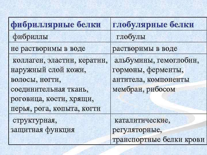 фибриллярные белки глобулярные белки фибриллы не растворимы в воде коллаген, эластин, кератин, наружный слой