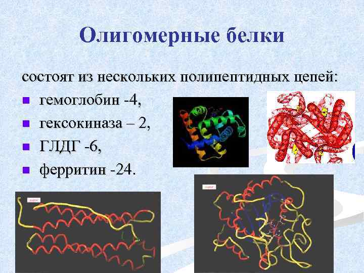 Олигомерные белки состоят из нескольких полипептидных цепей: n гемоглобин -4, n гексокиназа – 2,